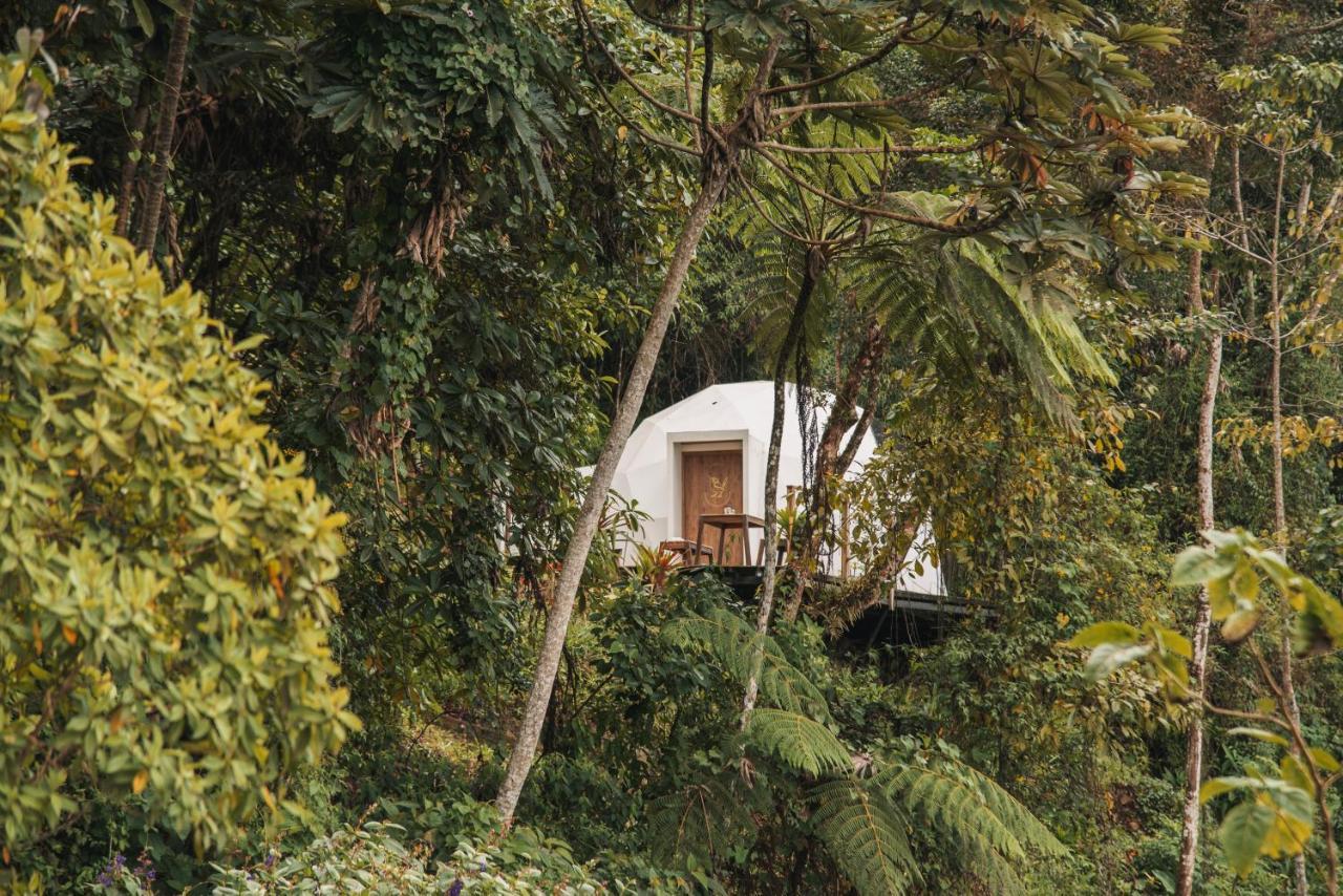 Terramia Estate Villa มินกา ภายนอก รูปภาพ